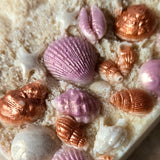 Beach Day Handcrafted Soap | Coconut Cream, Tonka Bean, Vanilla, and Sandalwood