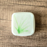 Menthol Shower Steamer | Lemongrass